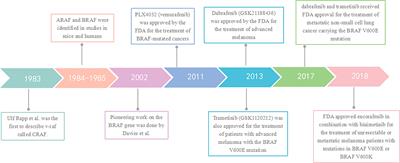 The Evolution of BRAF Activation in Non-Small-Cell Lung Cancer